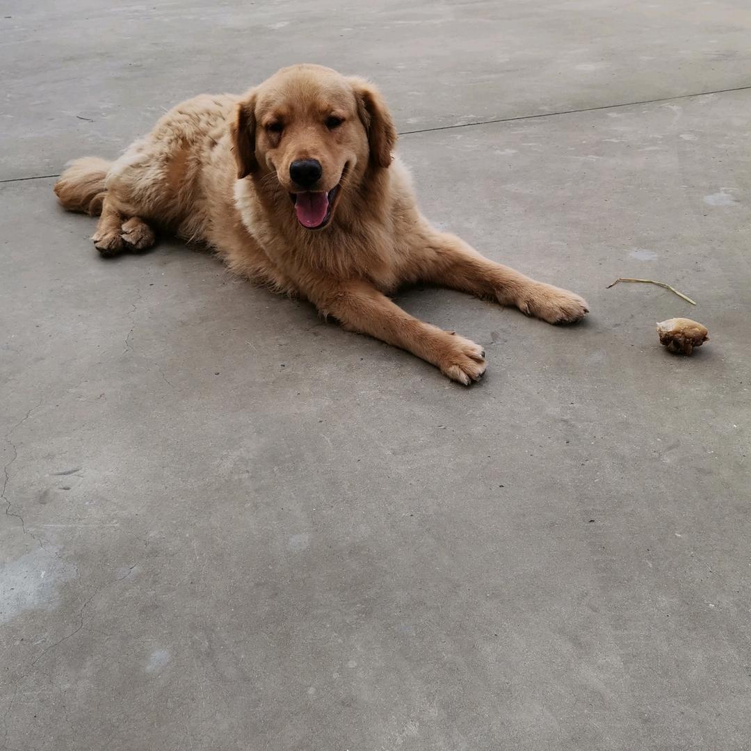 用户3359125273384做我自己