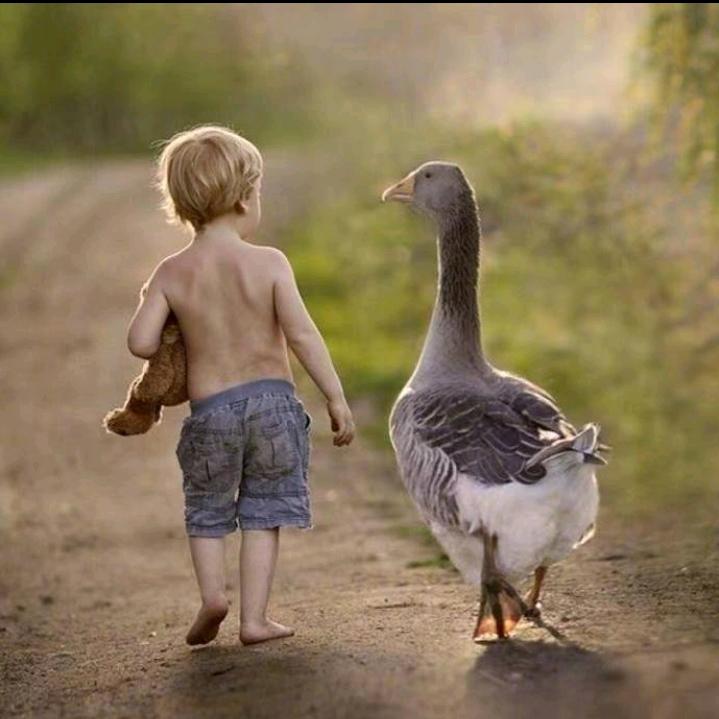 熊二的幸福生活