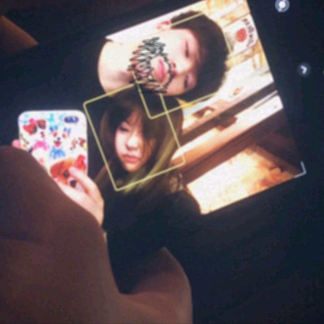 柏林飞鸟无踪