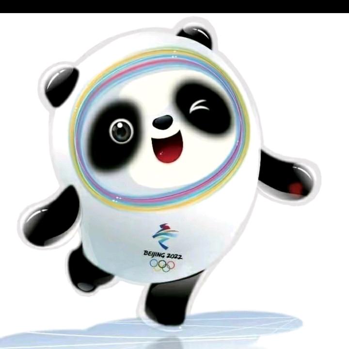 开心每一天花