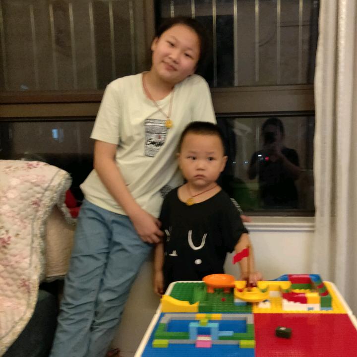 林中竹叶青