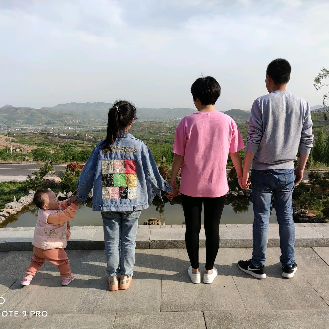 蒙桃果业莲汪崖黄桃交易市场