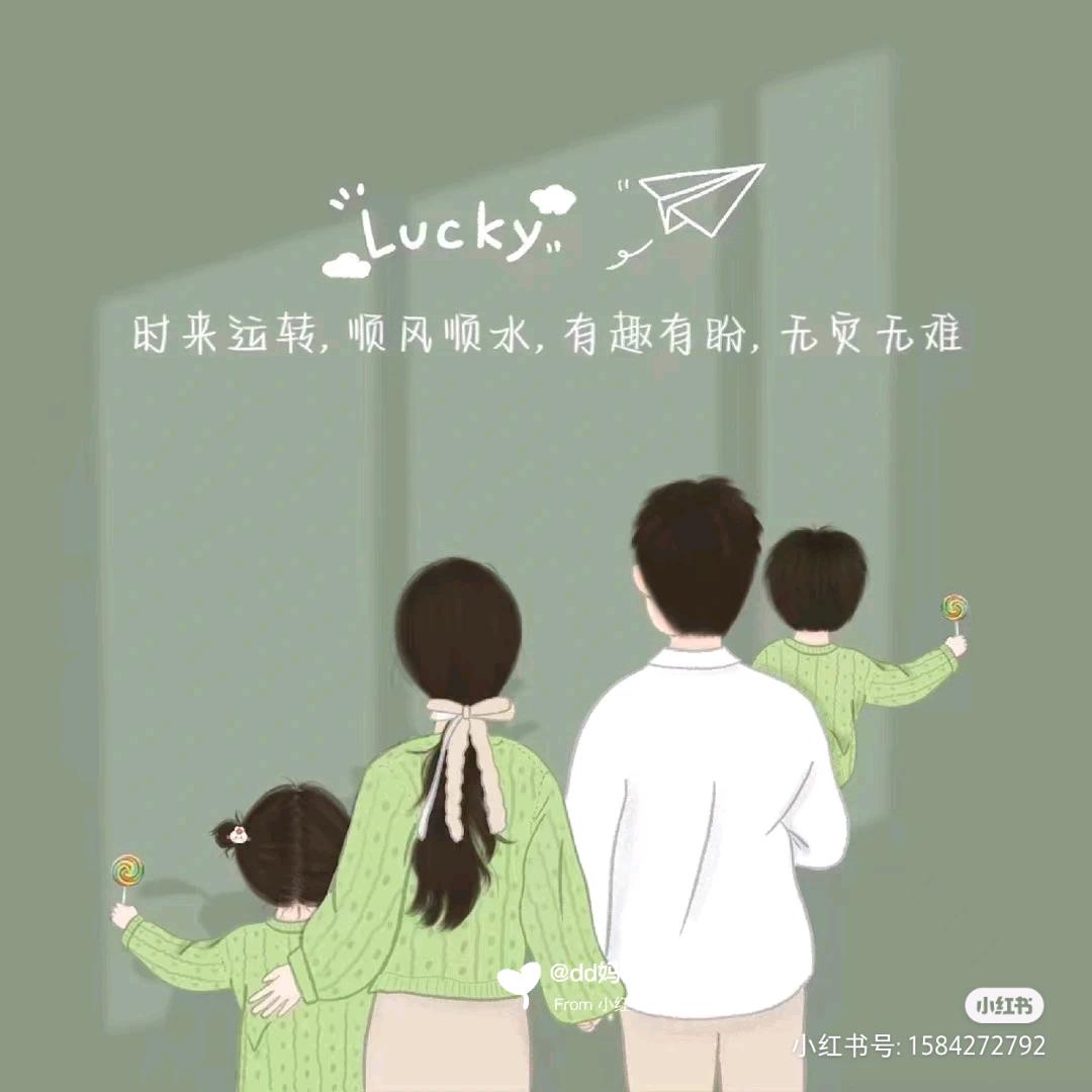 柑橘人生