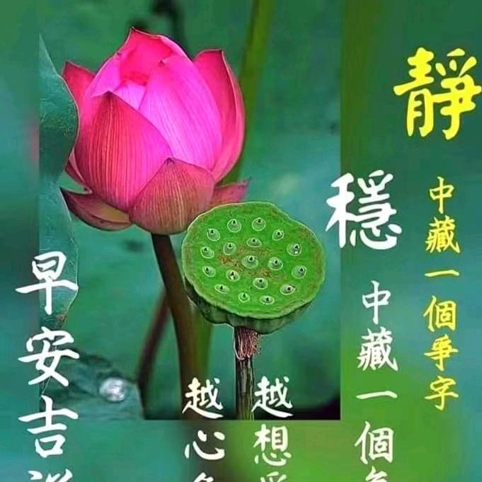 故乡的云