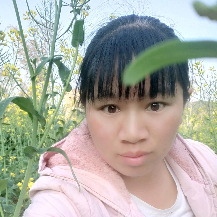 芬姐