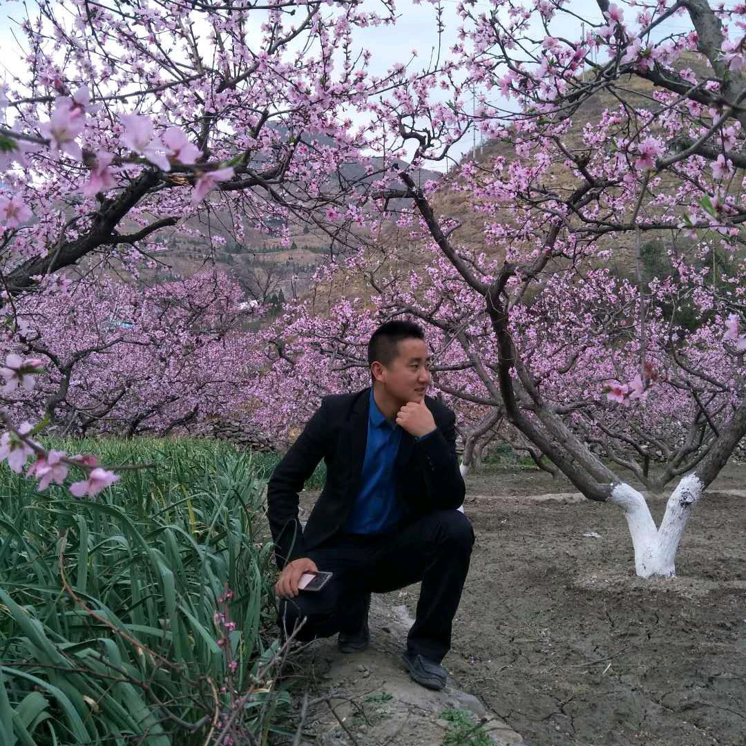 往后余生，随遇而安