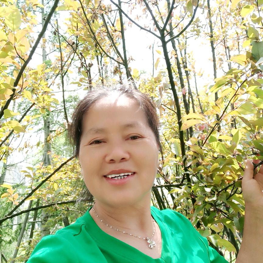 仙仙