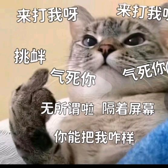 |｡･㉨･)っ♡　喜欢你♪