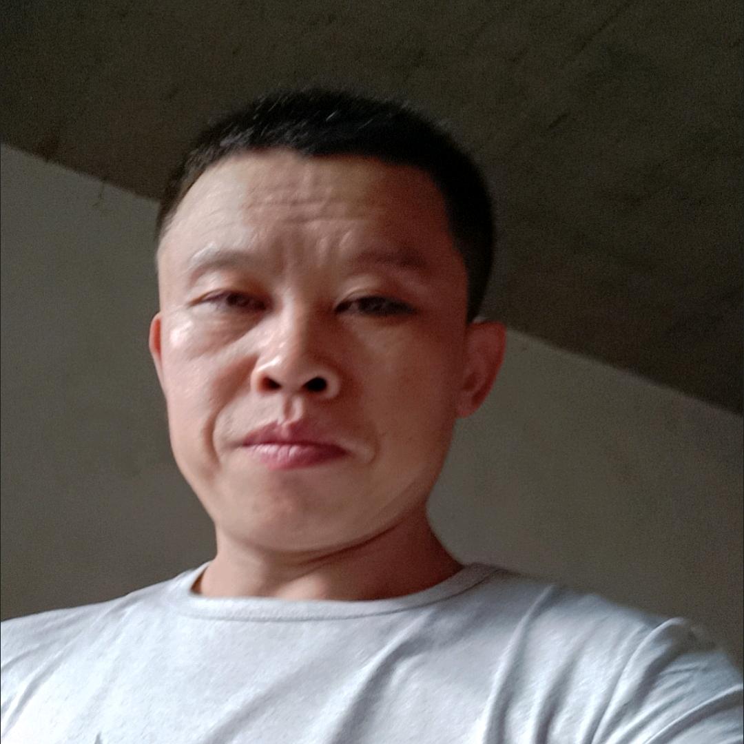 飞龙