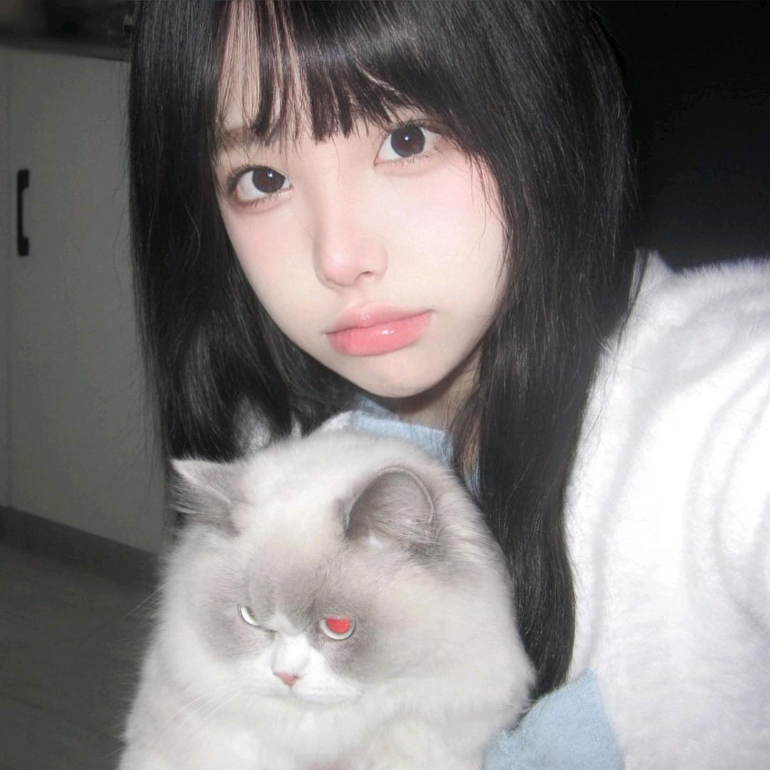 发霉的梦.