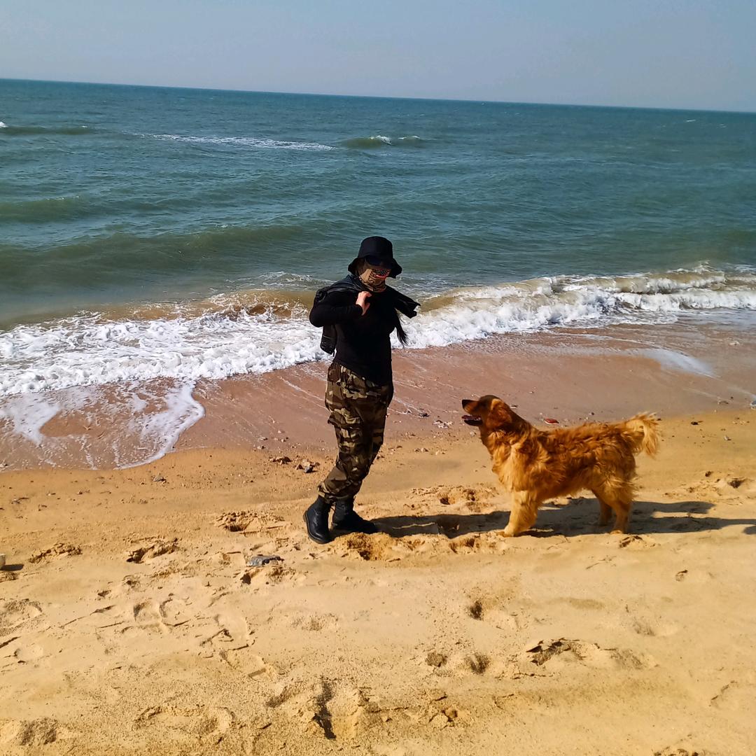 黑玫瑰