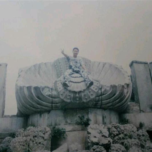 武贵龙