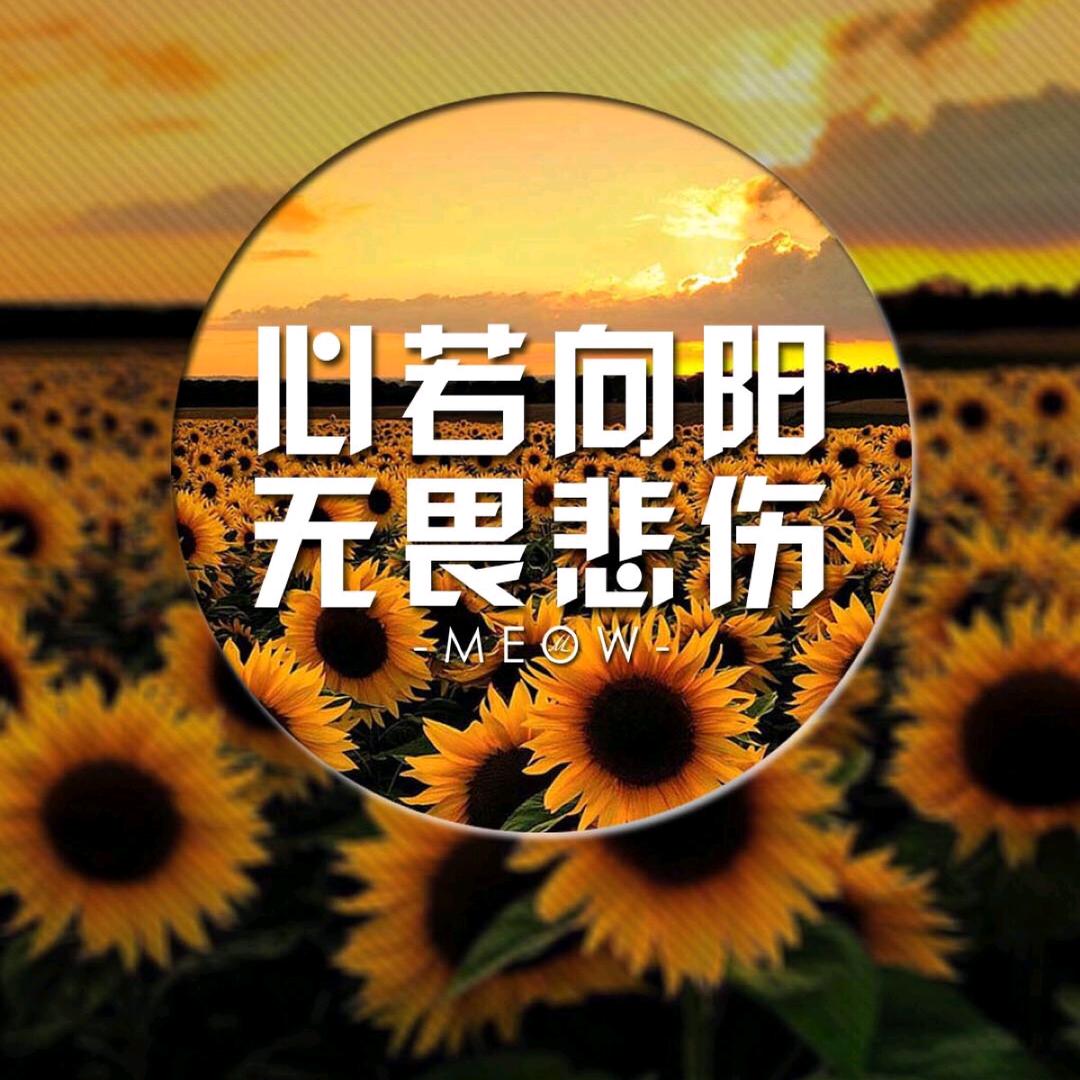 张乐，新疆关尔