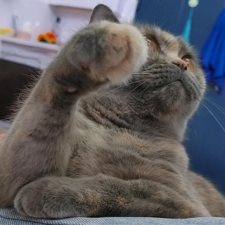 小虫儿❤
