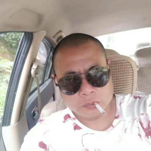 流动的荷尔蒙