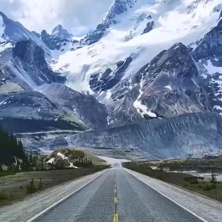 招财猫的小铃铛🔔