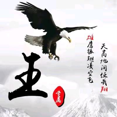 浪荡公子