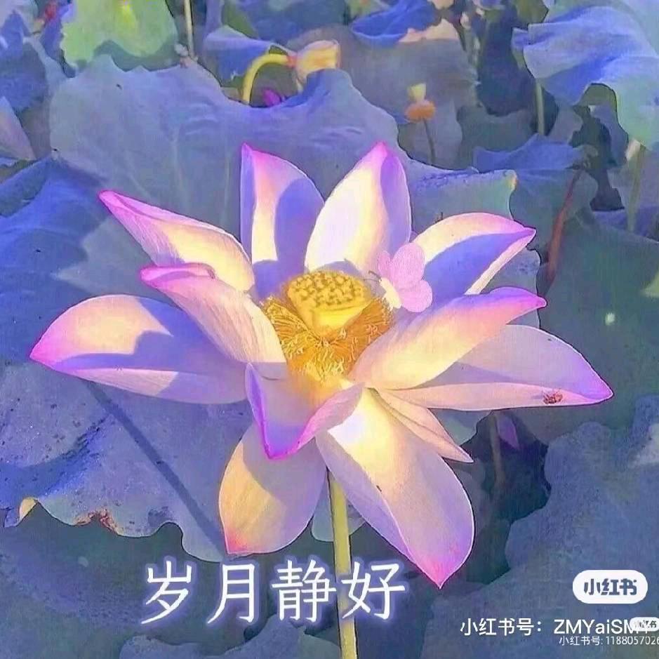 今生有你的路