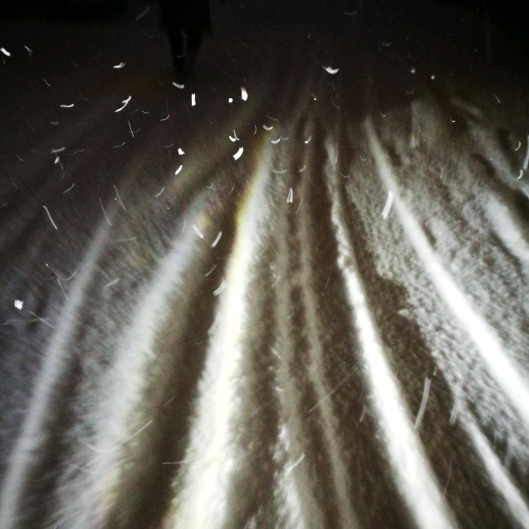 🏍自由风Free Wind