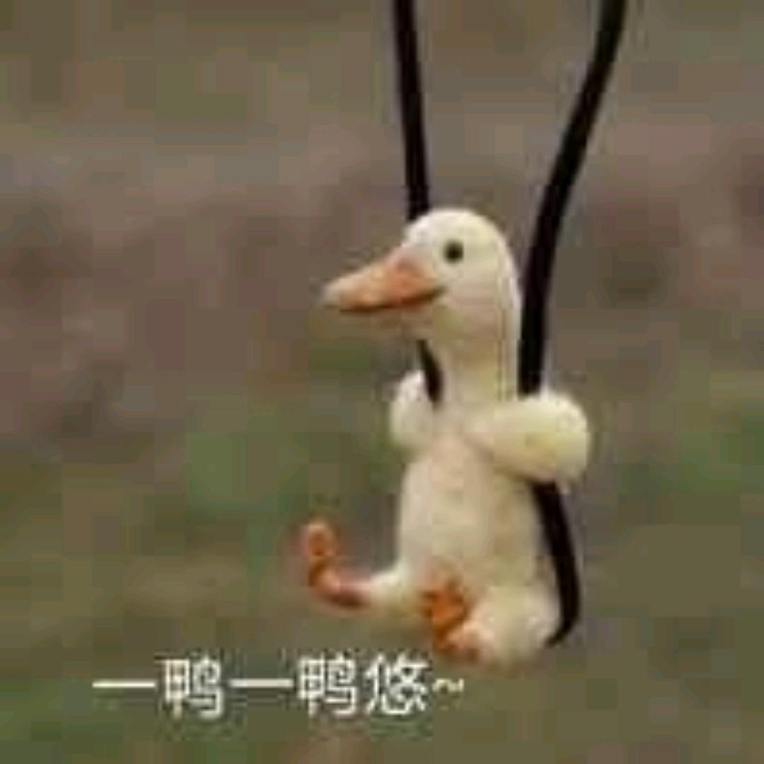 跟着感觉走