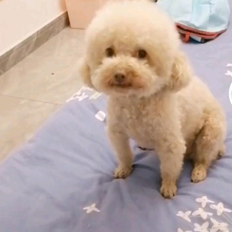 林