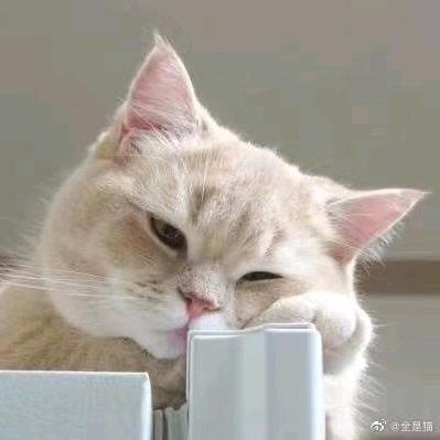 街溜子