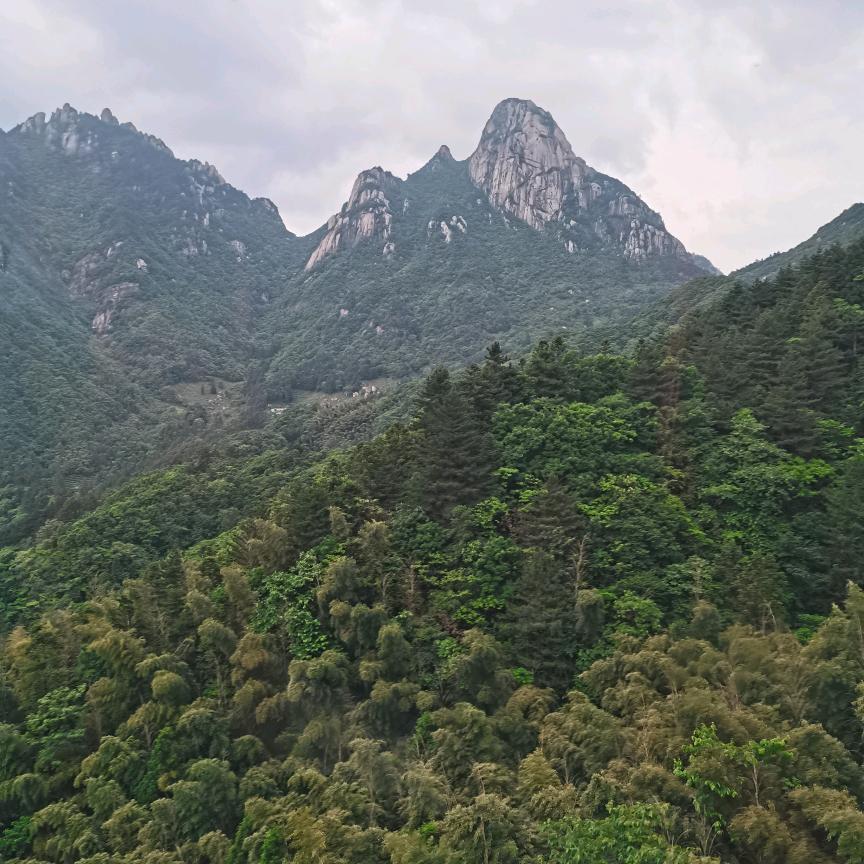 一帆风顺好