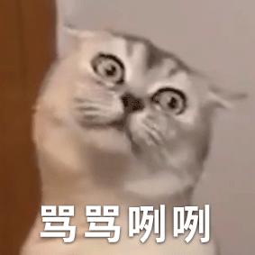 那只鱼