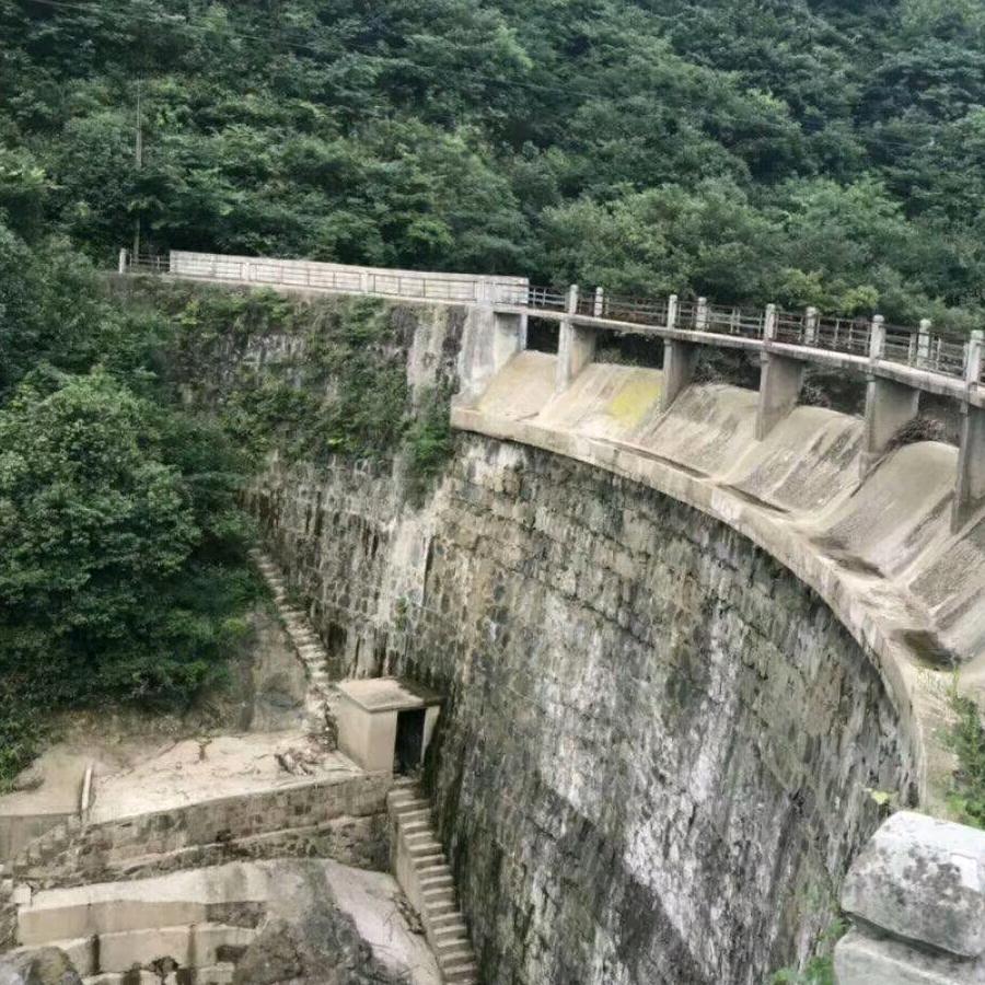 六安南门农贸市场金寨黑毛土猪肉