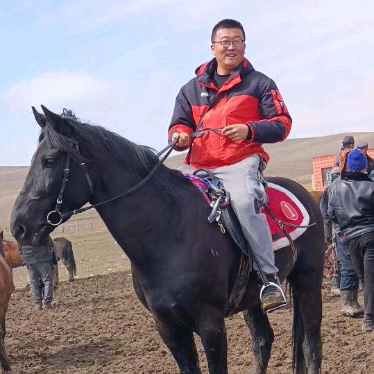 西域大兵(伊犁马）唯一账号