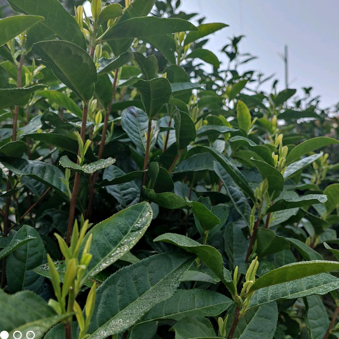 小方总的地推日记