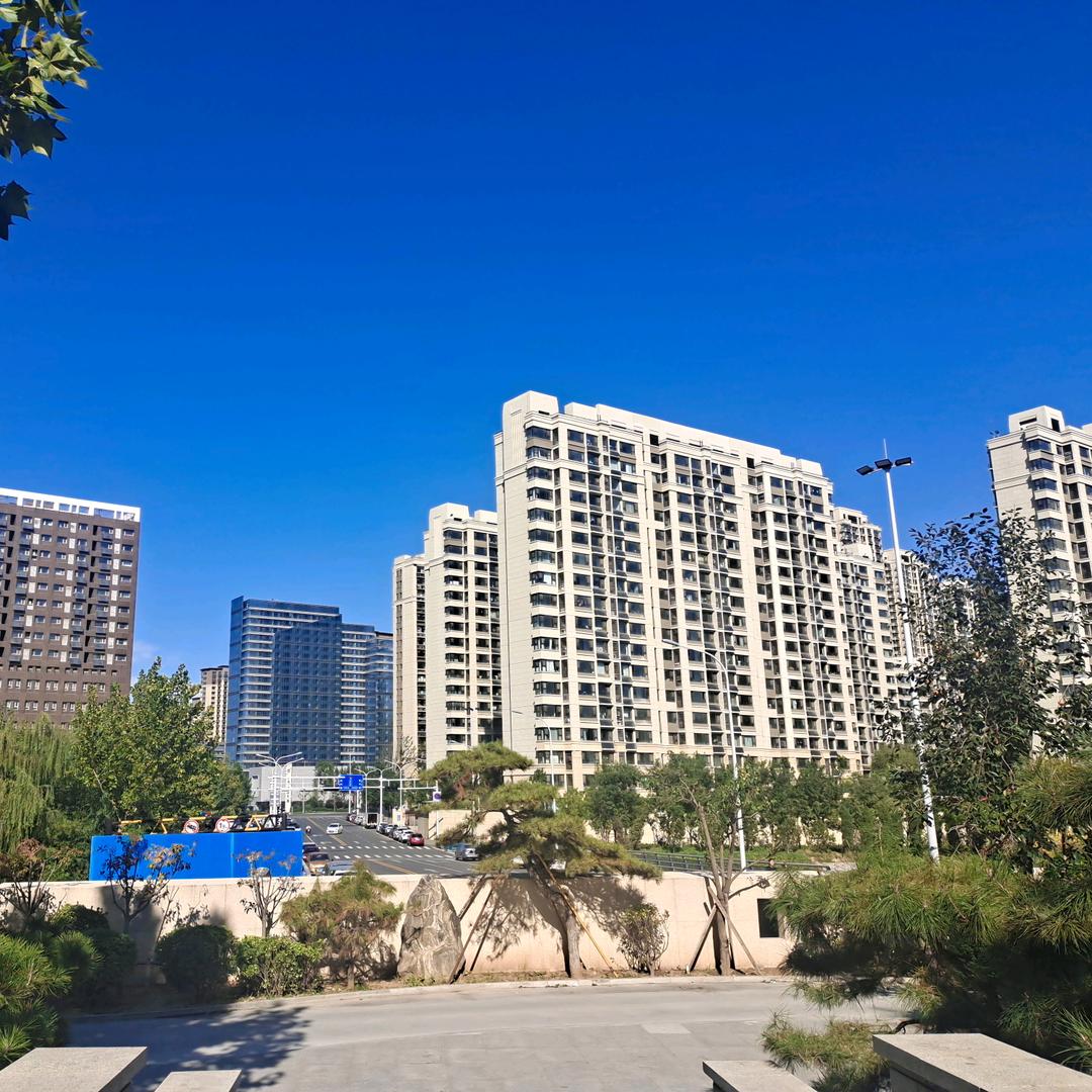 100个菏泽一中学生