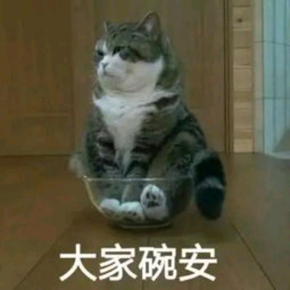 坐以待币