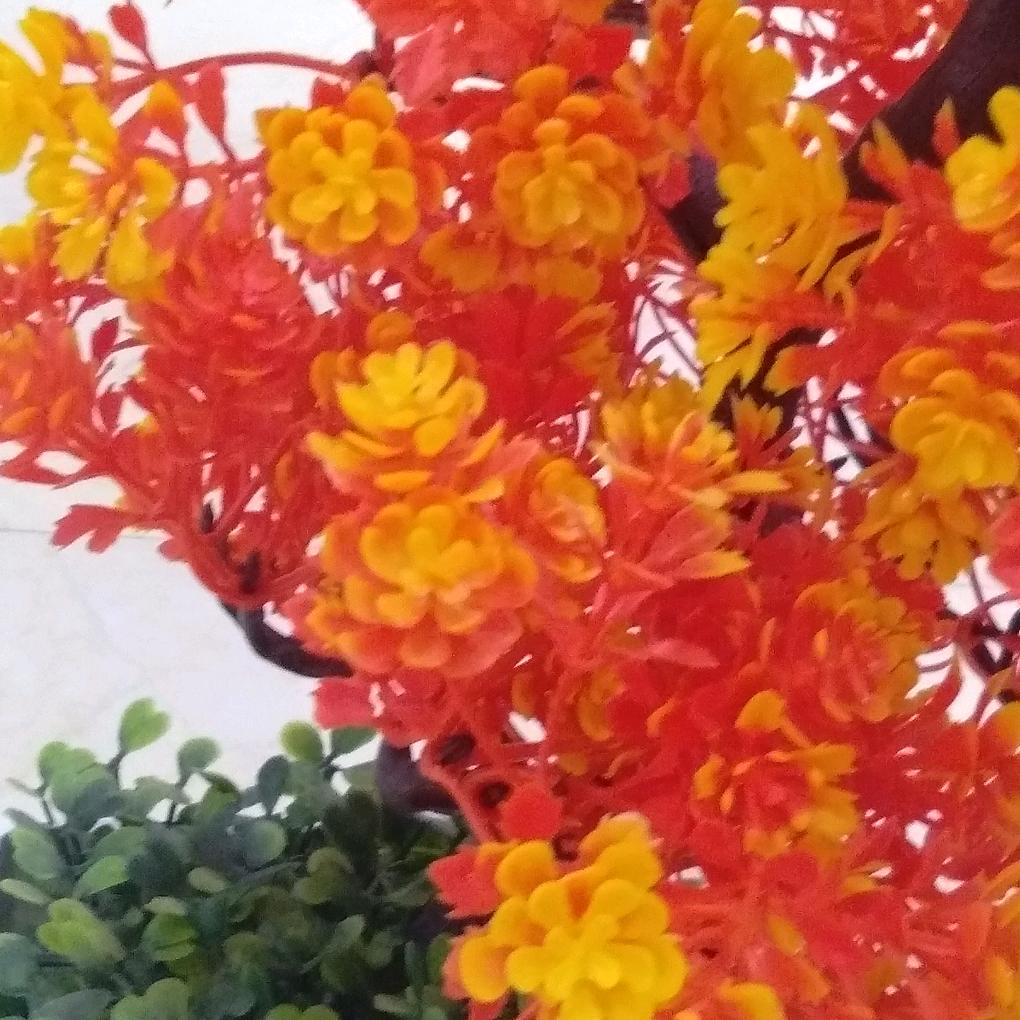淑蓉