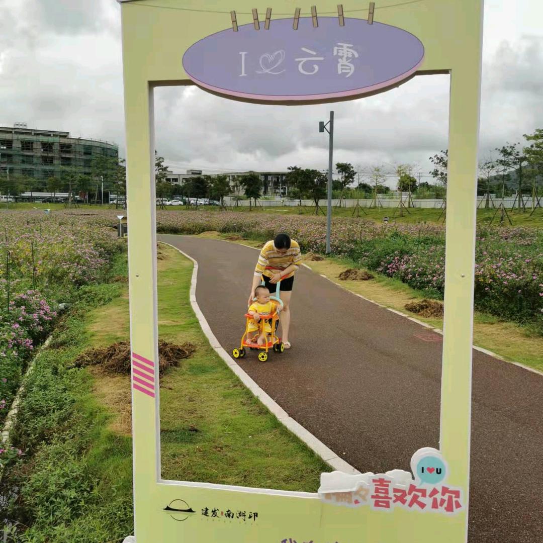 扎根农村的老郭（现养芦丁鸡）