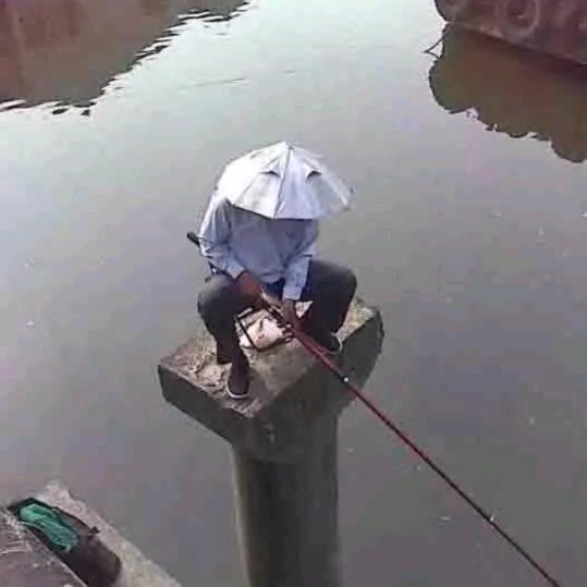 永哥爱钓鱼