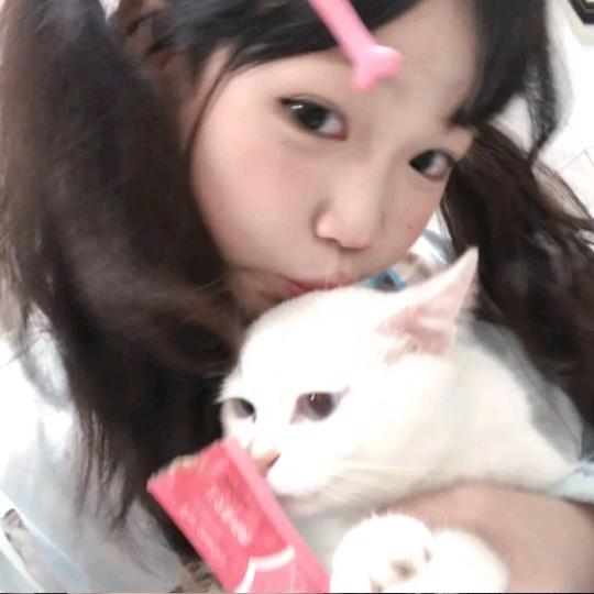 mn小怡
