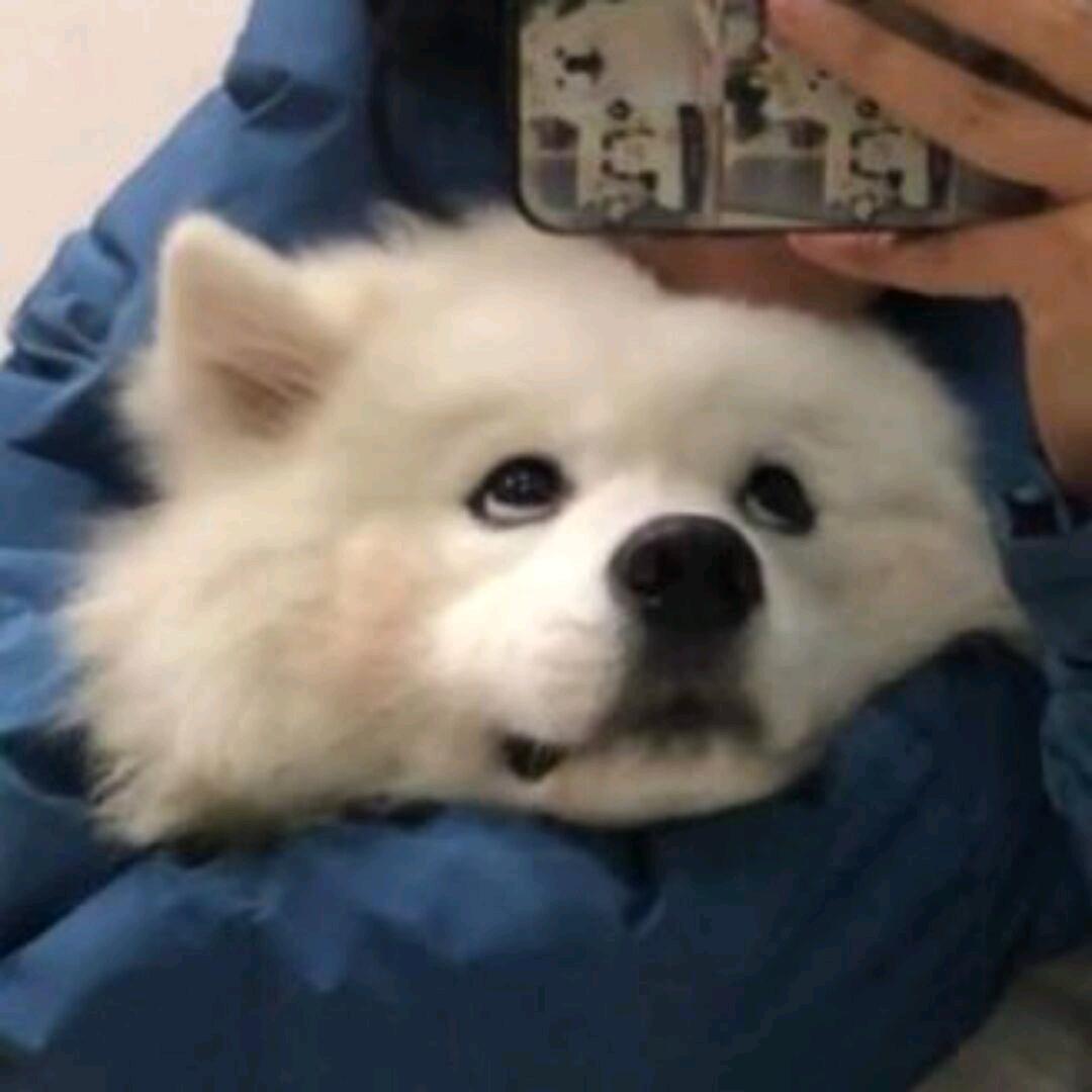 沈梦