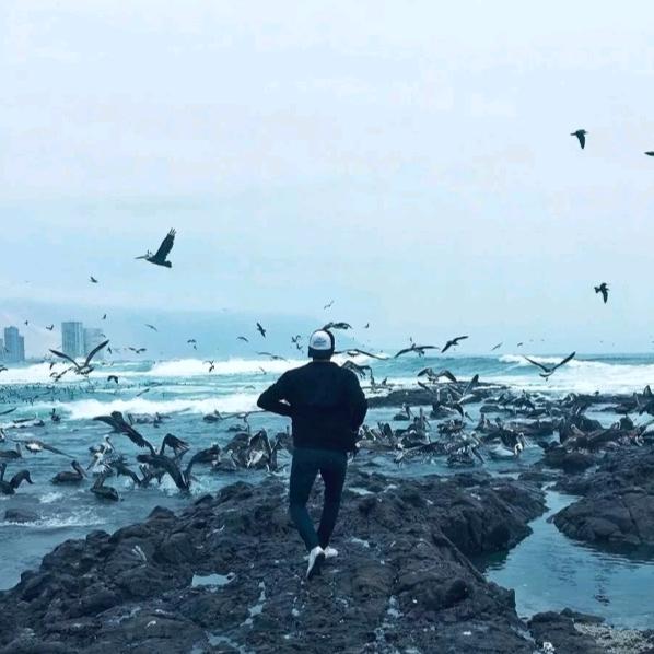 新疆正宗羊肉烧烤