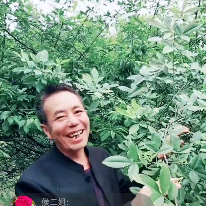 黑林口