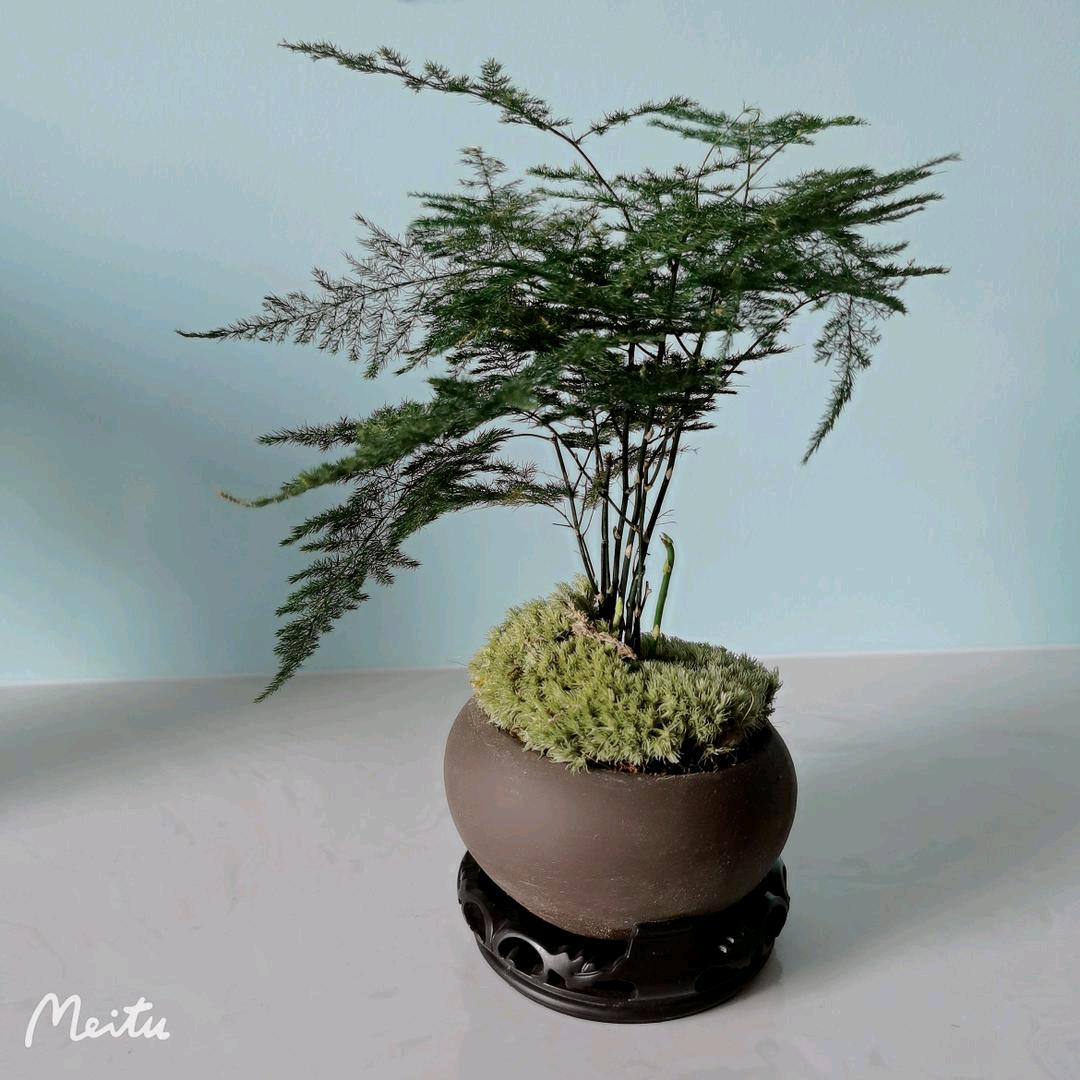 刚好遇见你