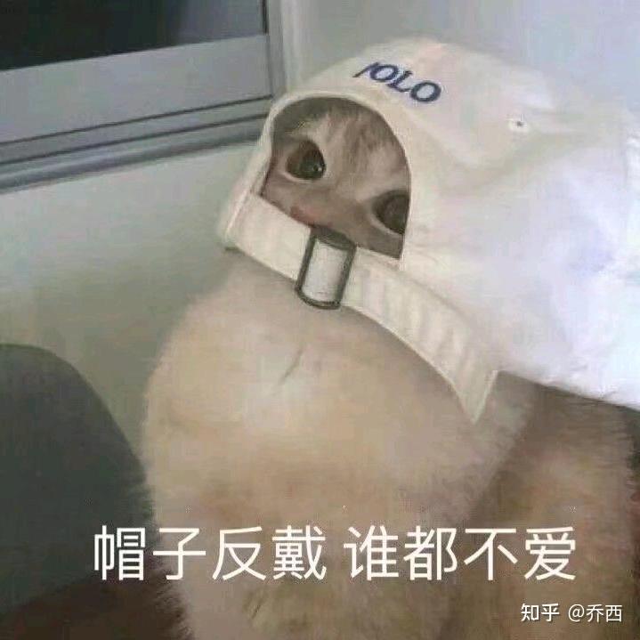 鱼摆摆