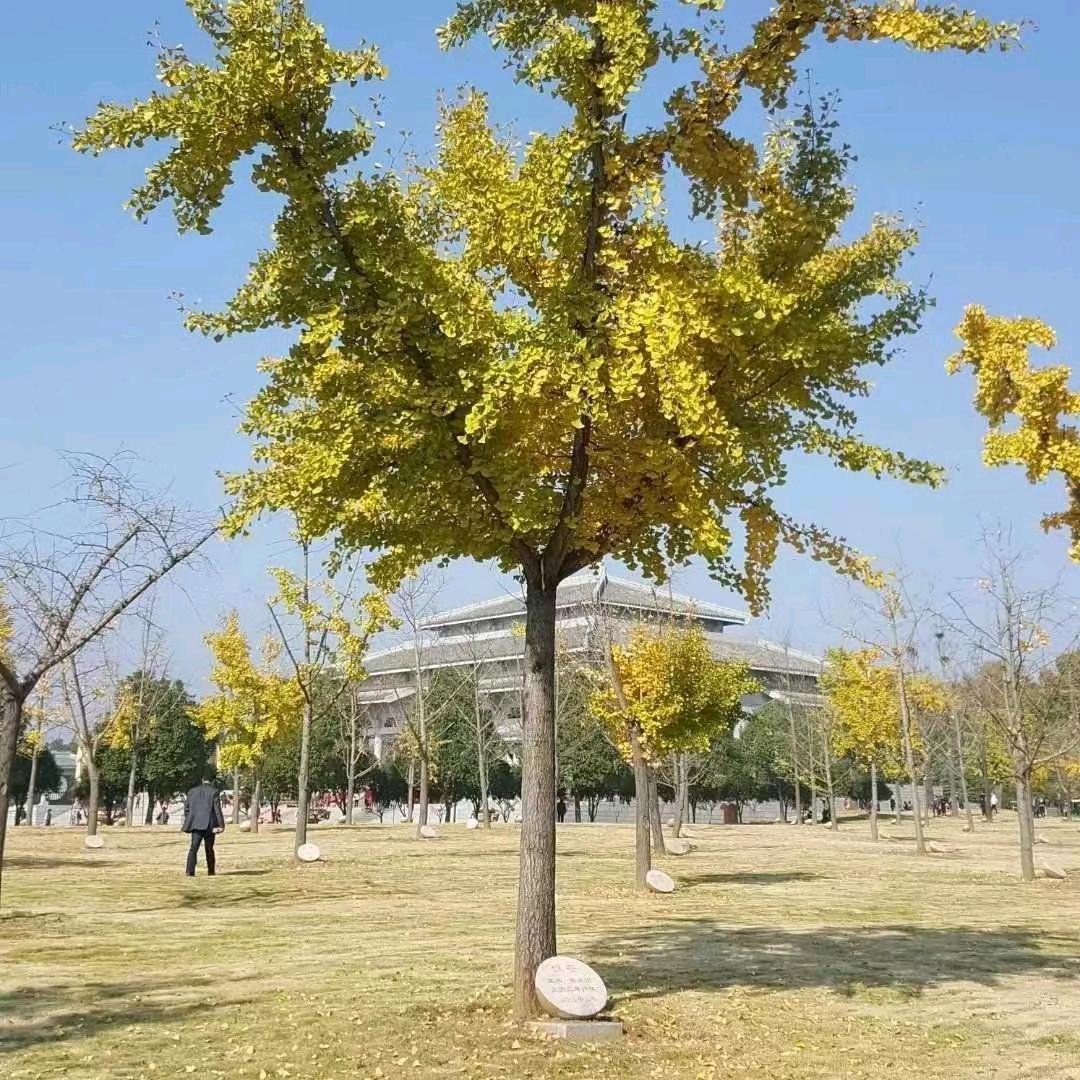 平平淡淡才是真的。。。