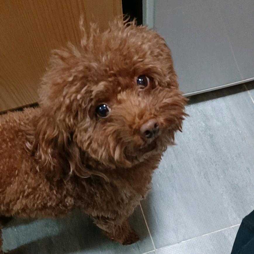 三哥农门阵
