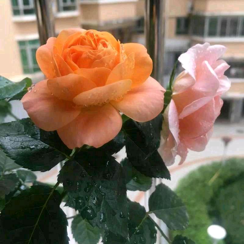 开心就会好