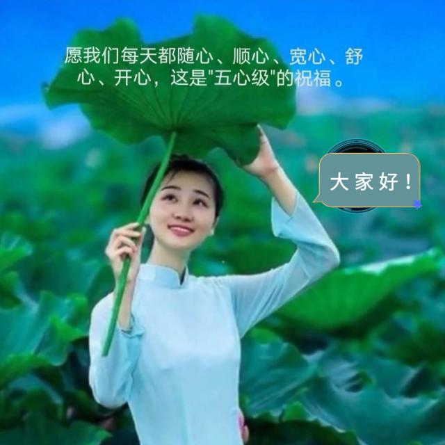 开心哥