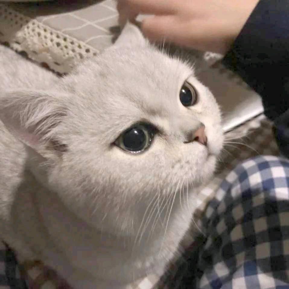 热浪