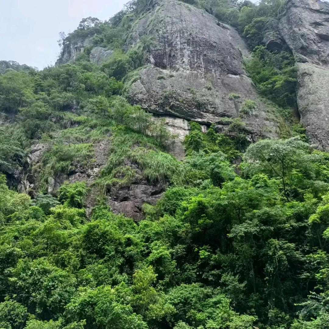 虾米泡汤（2）