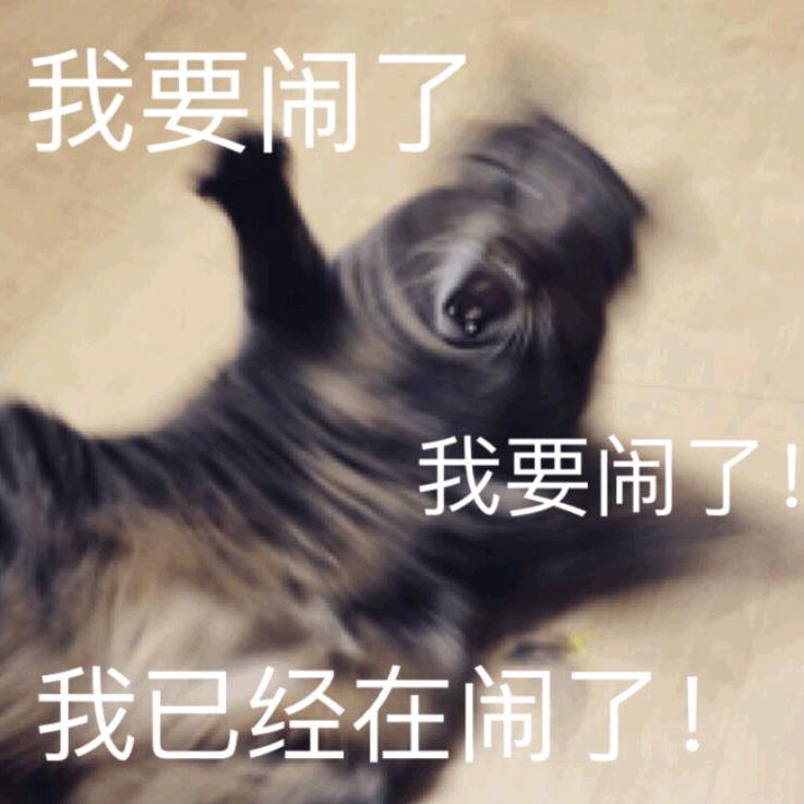 真的摆烂的乐曦