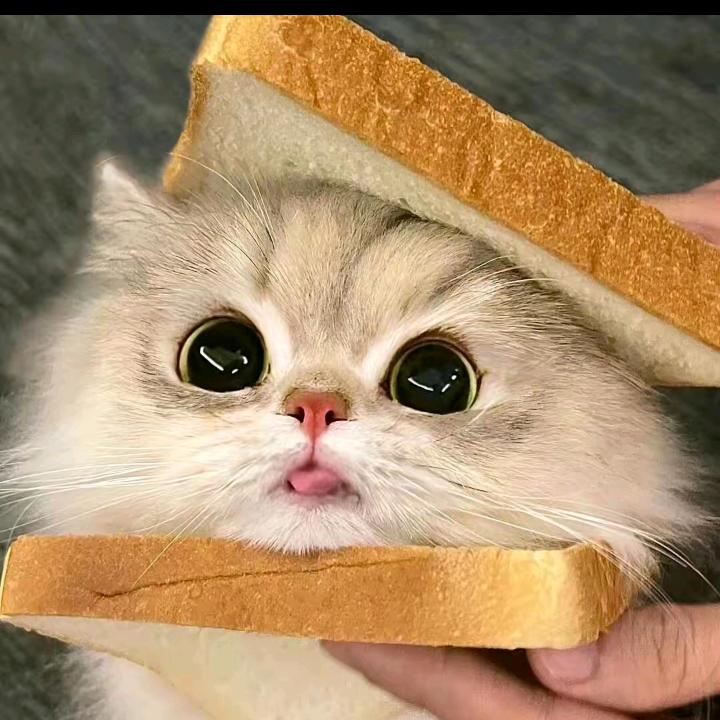 hi~